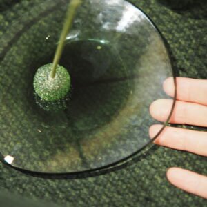 Fragi Tea Frangrance - Image 4